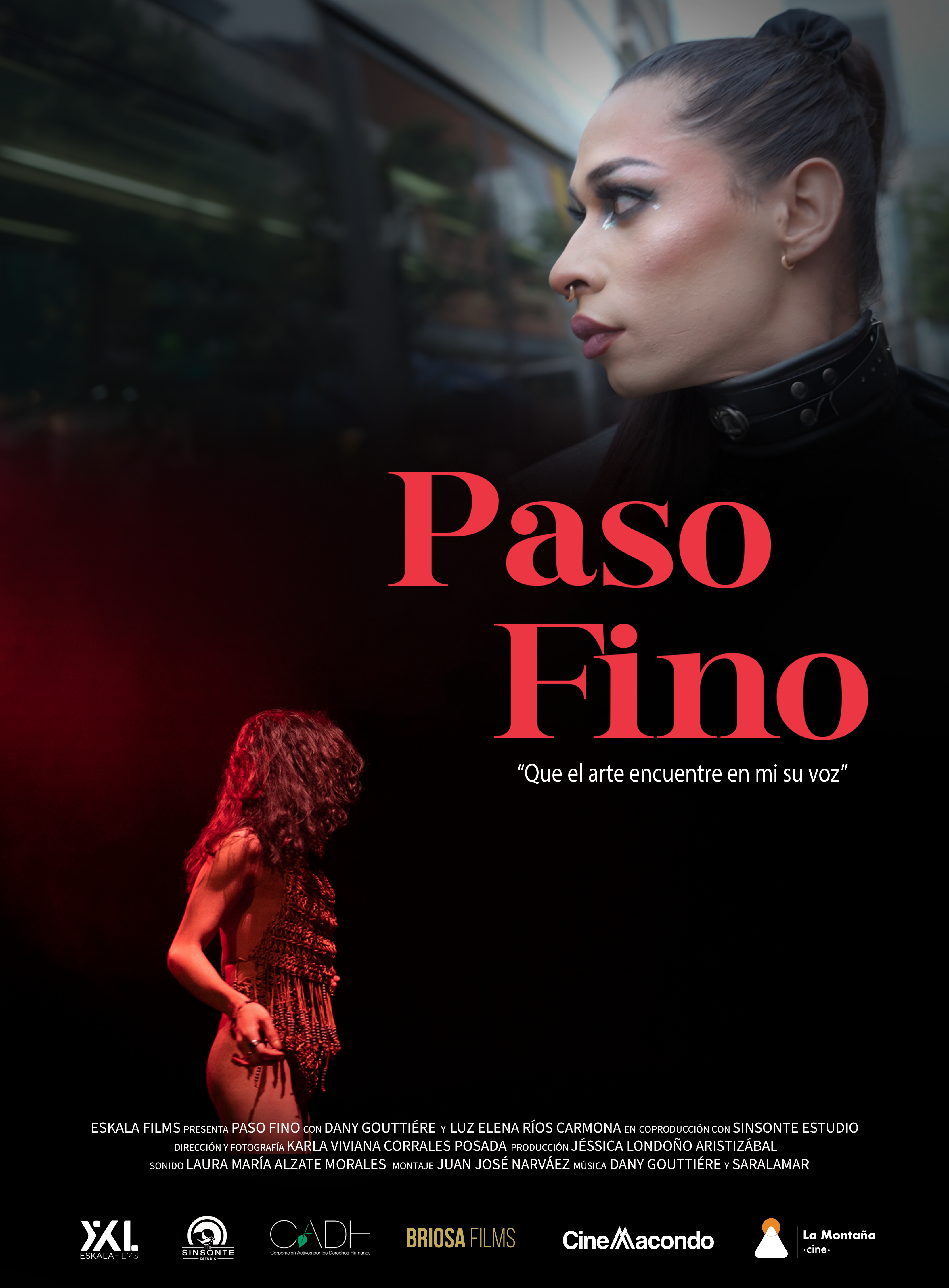 Poster Paso Fino documental